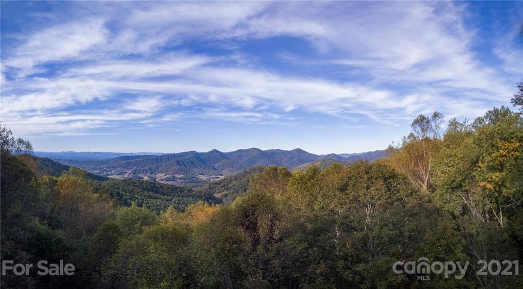 50 Sassafras Gap Rd., Asheville, NC 28804