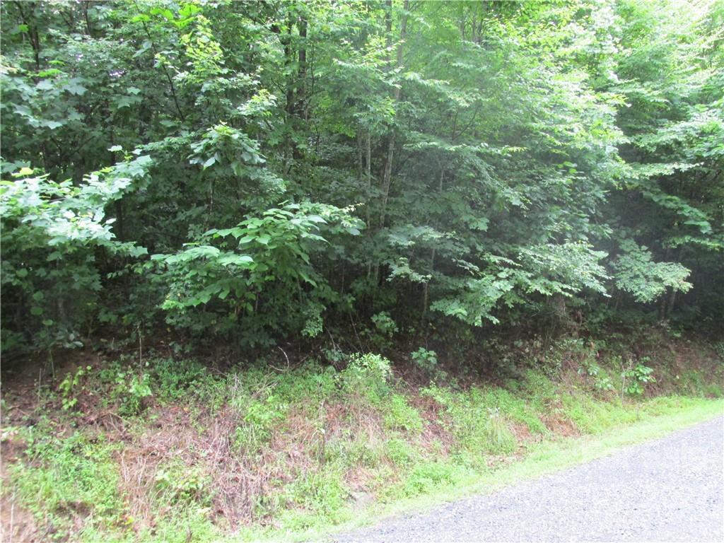 00 Jasper Lea Rd., Sylva, NC 28779