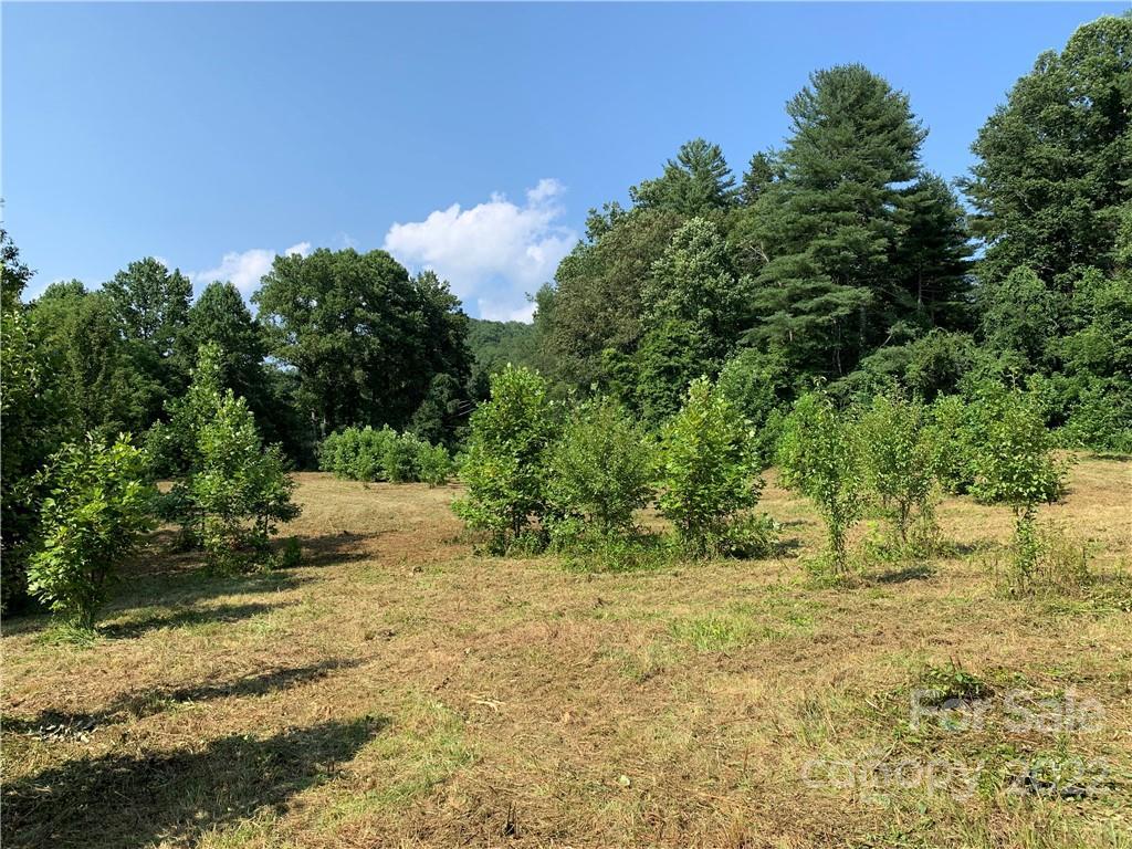 L 1 Hwy 64 Hwy., Pisgah Forest, NC 28768