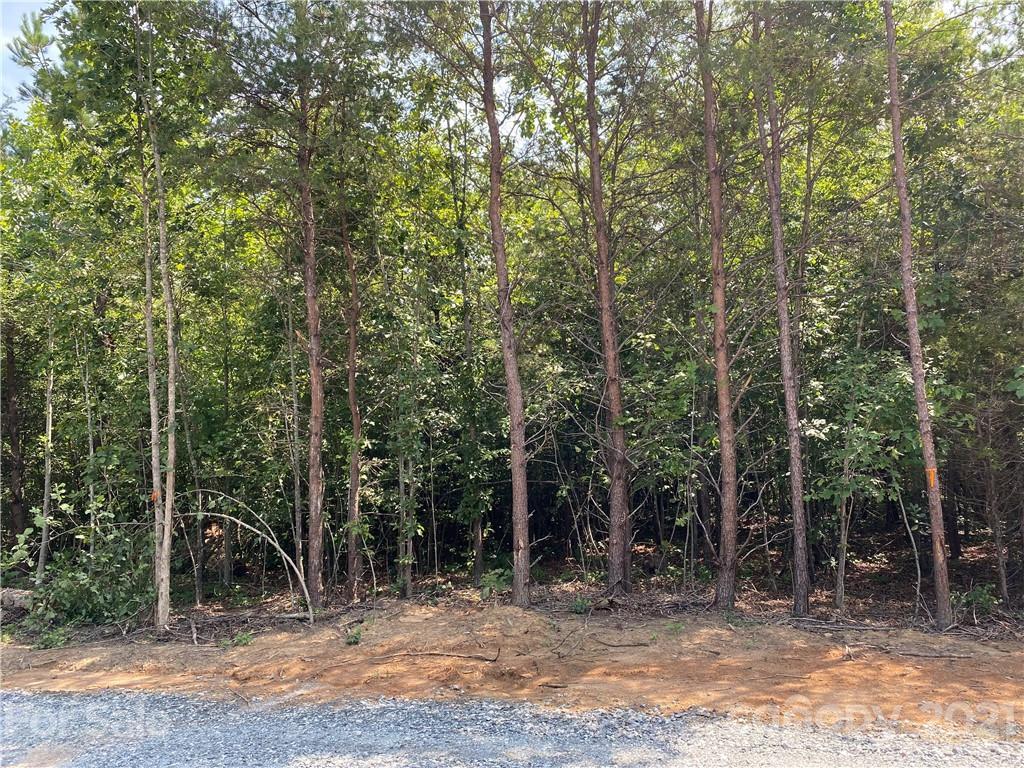 Eldon Grove Dr. #LO5, Mooresboro, NC 28114