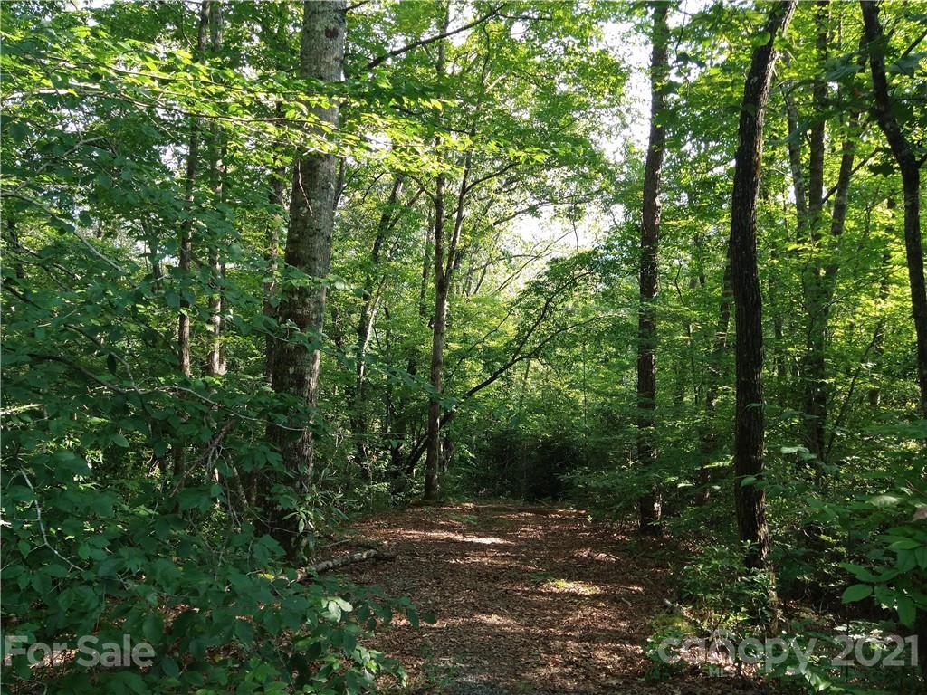 99999 Morningwell Dr., Sylva, NC 28779