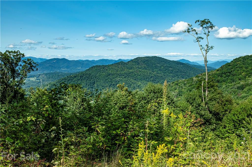 334 Canyon Dr., Waynesville, NC 28786