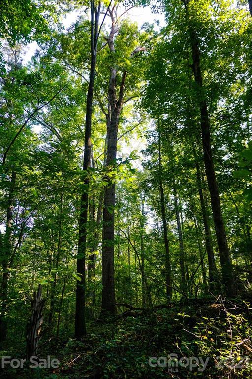 0000 Old Ballpark Rd., Spindale, NC 28160