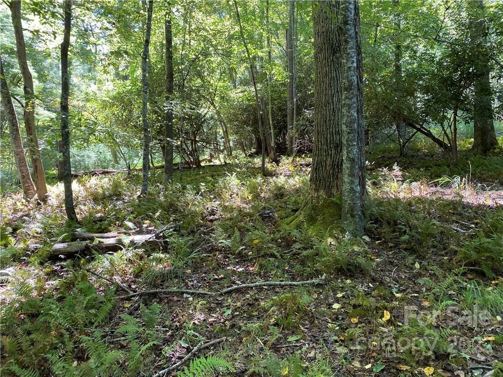 TBD Baker Rd., Arden, NC 28704