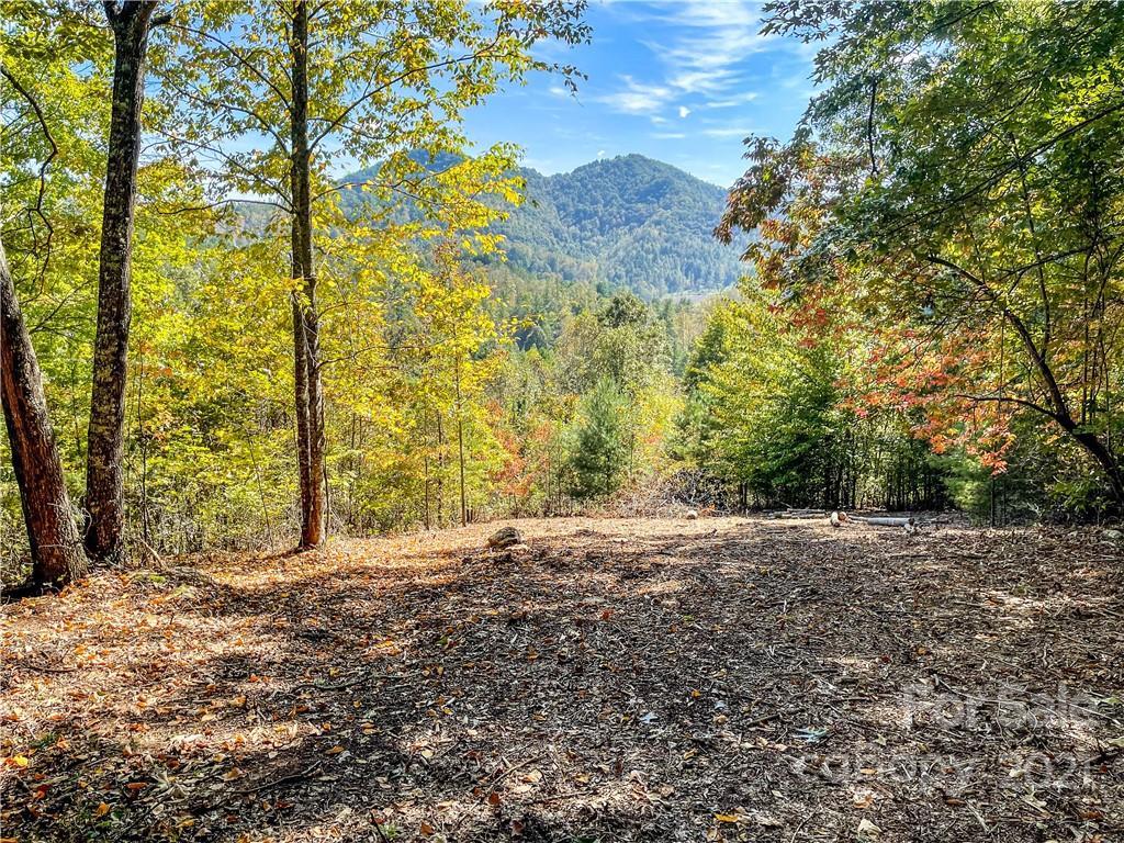 553 Boyd Rd. #2, Leicester, NC 28748