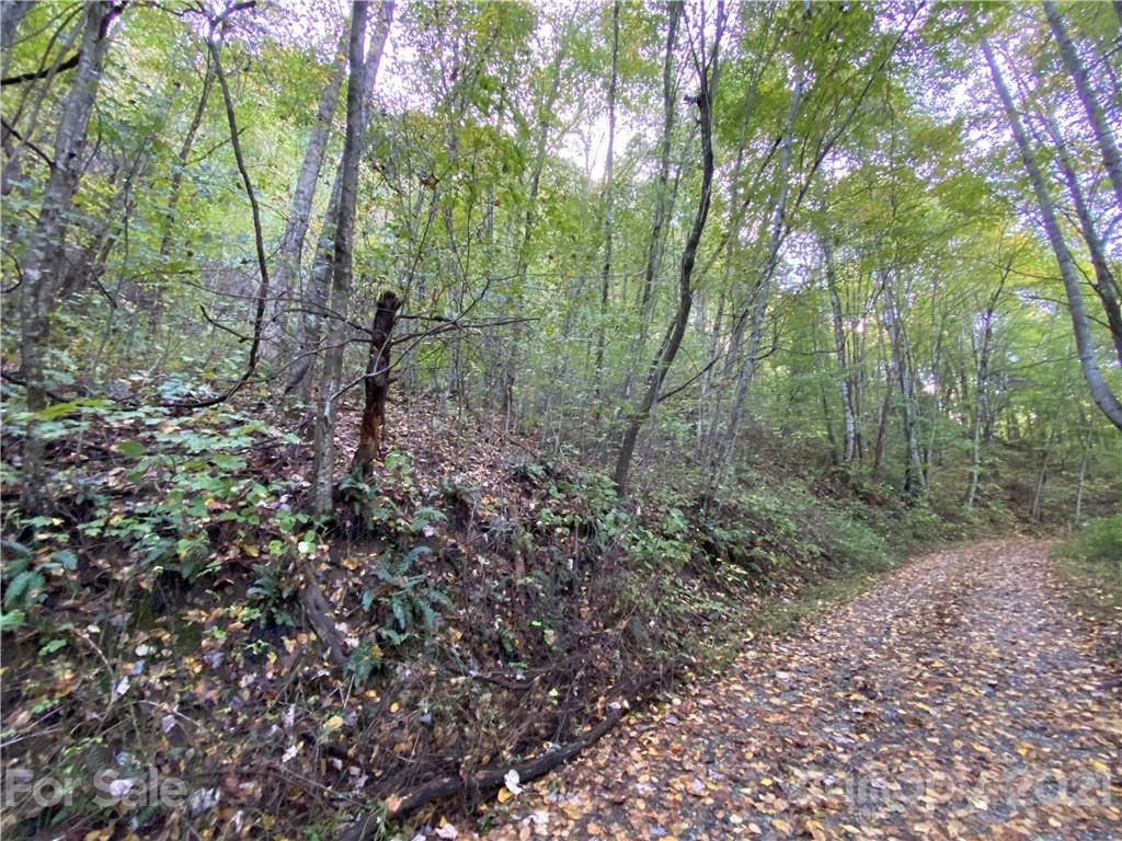 0000 Woodys Dr. #07, Hendersonville, NC 28792