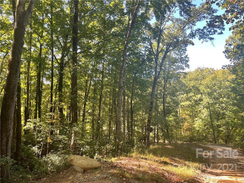 S Poplar Dr. #165, Lake Lure, NC 28746