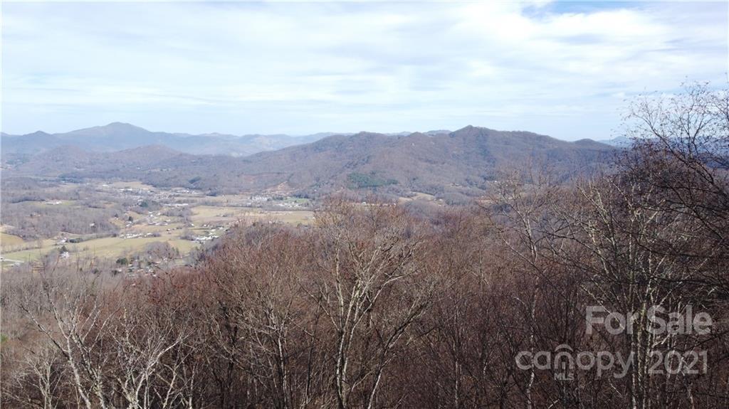 Tiny Dr., Waynesville, NC 28785