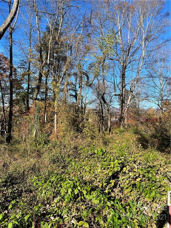 57 Booker St., Asheville, NC 28803