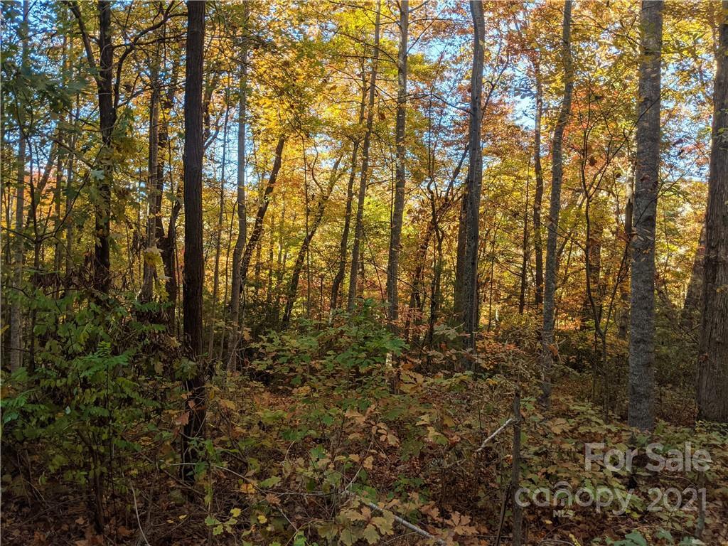 Lower Collier Cobb Dr., Lake Lure, NC 28746