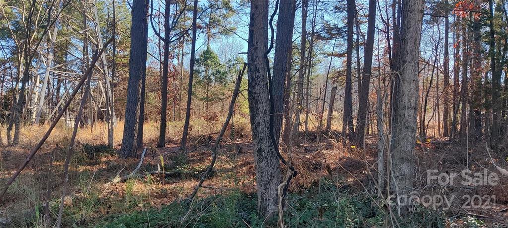 1638 Kiawah Ct., Gastonia, NC 28056