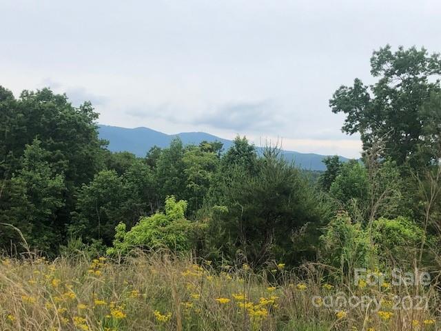 27 Mountain Pkwy., Mill Spring, NC 28756