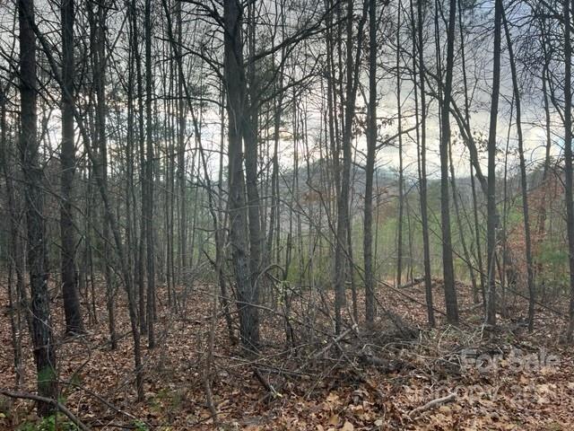 0000 Piney Creek Dr. #2, Lake Lure, NC 28746