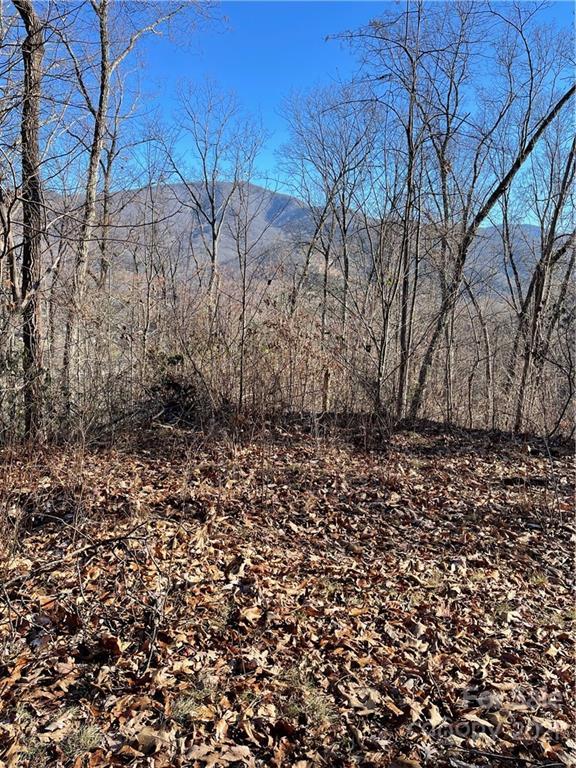 99999 Micadale Ln., Waynesville, NC 28786