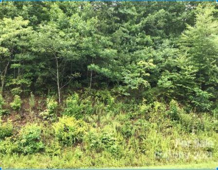 629 Green Valley Rd., Leicester, NC 28748