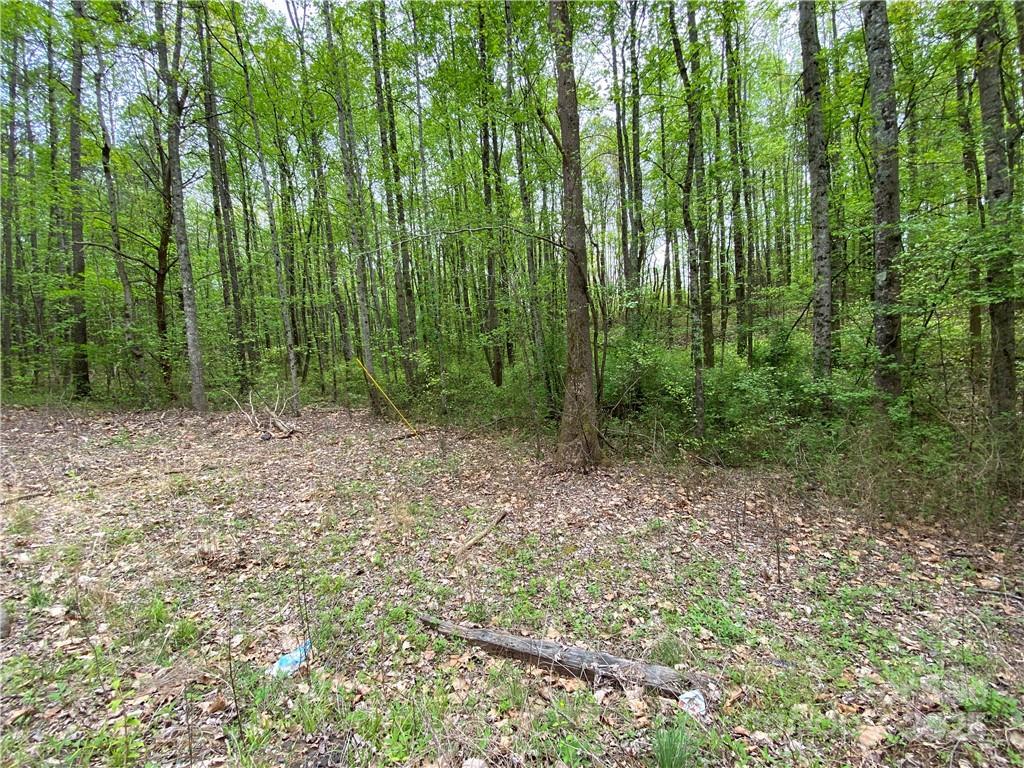 00 Sunrise Tr., Lincolnton, NC 28092
