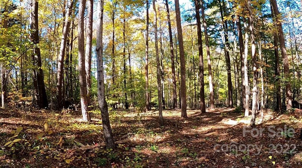 Painters Gap Rd., Rutherfordton, NC 28139