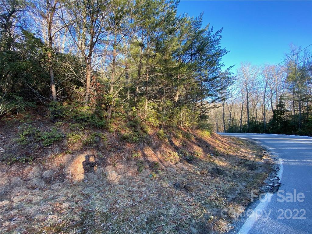 TBD Golden Rd., Lake Toxaway, NC 28747