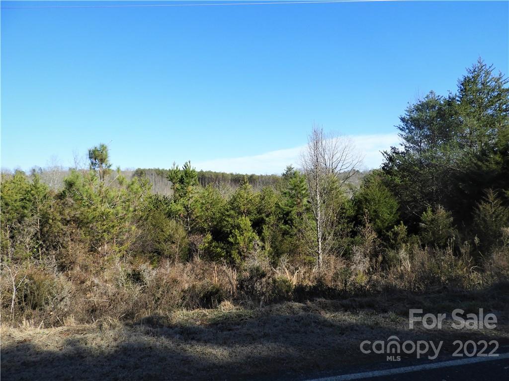Green Rd., Rutherfordton, NC 28139