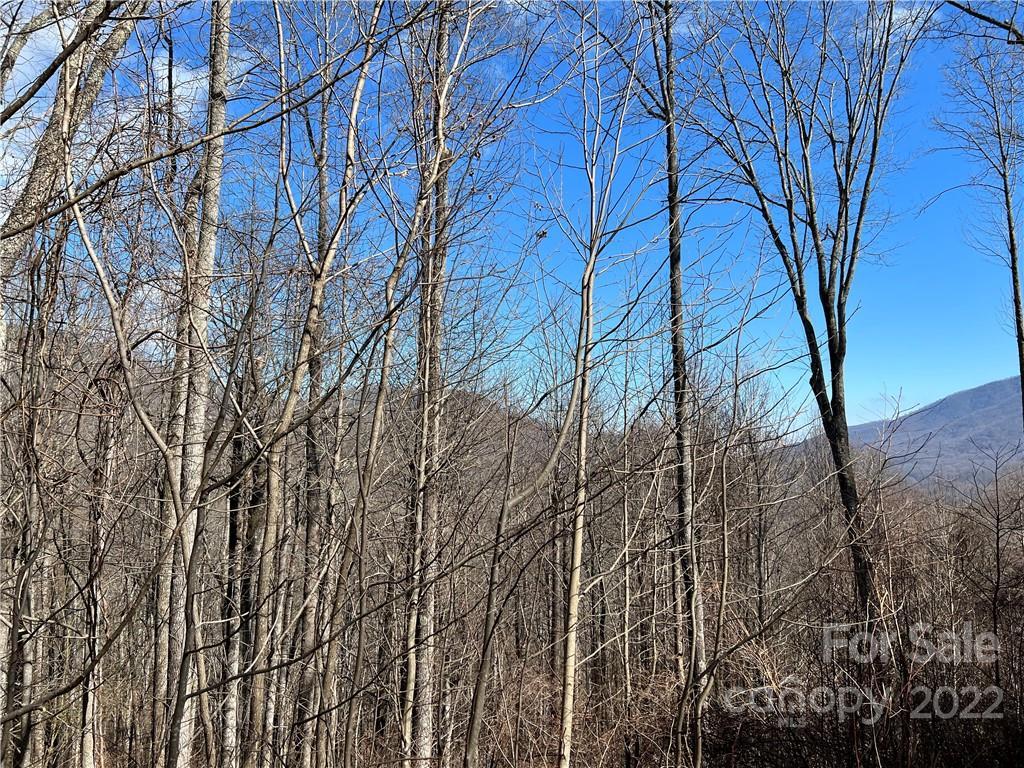 000 East View Rd. #2, Sylva, NC 28779