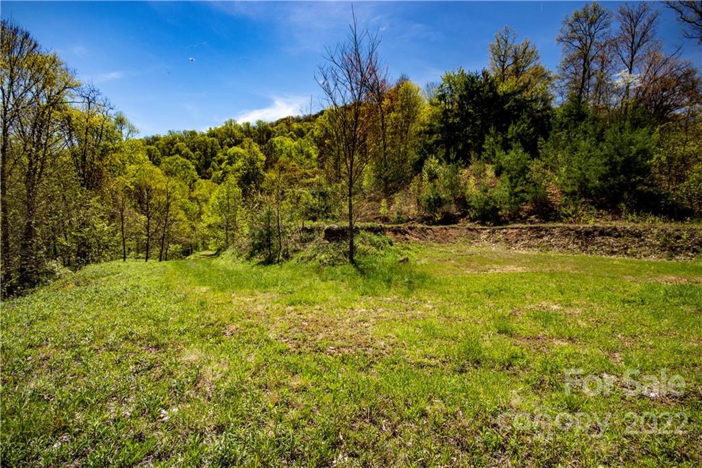 94 Leopard Dr., Waynesville, NC 28786