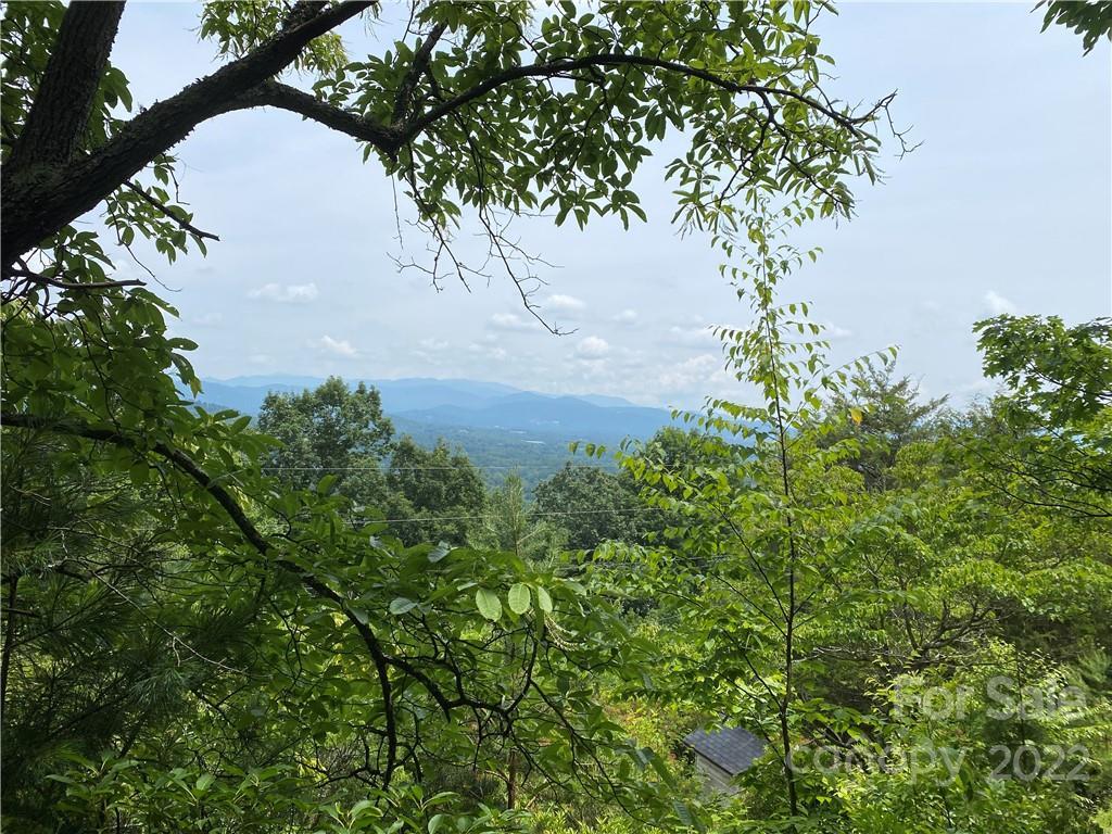 36 Skyline Ter., Asheville, NC 28806