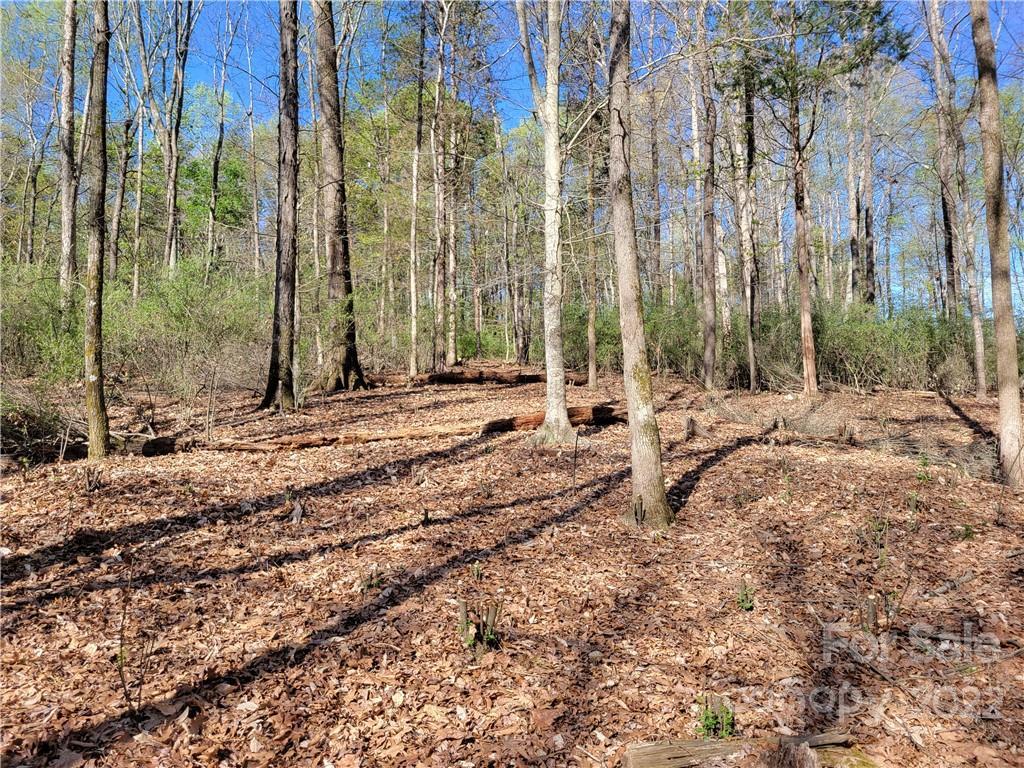 10717 Wildlife Rd., Charlotte, NC 28278