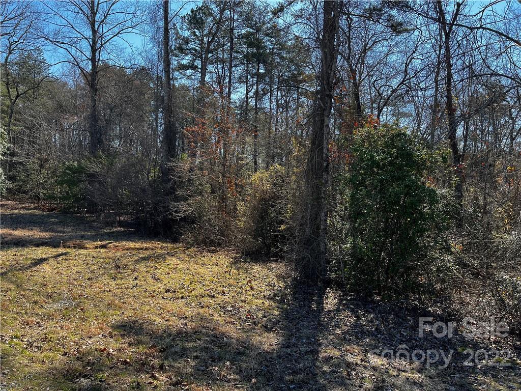 00 Price Cemetery Rd., Ellenboro, NC 28040