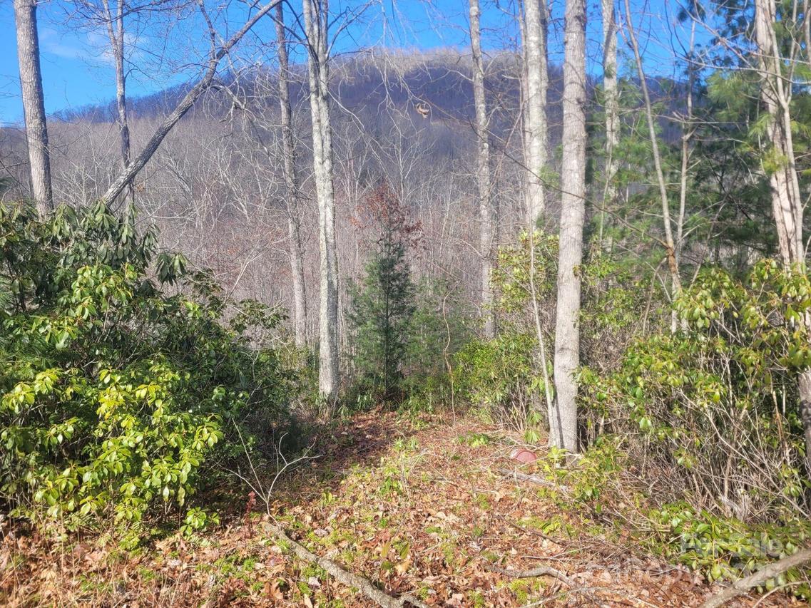 Garnet Rd. #94, Sylva, NC 28779