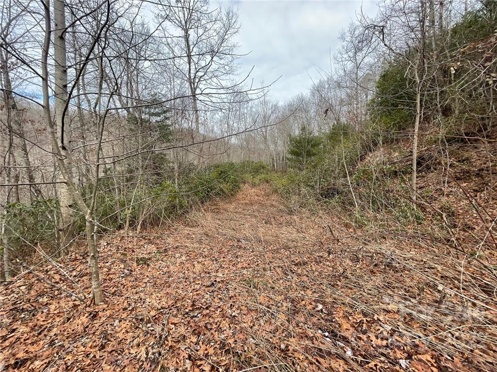 Lots 3,5,6 Dime Ridge, Sylva, NC 28779