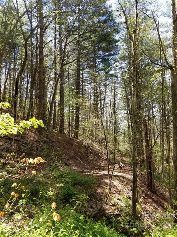 2.74 Acres Mountainbrook Rd., Asheville, NC 28805