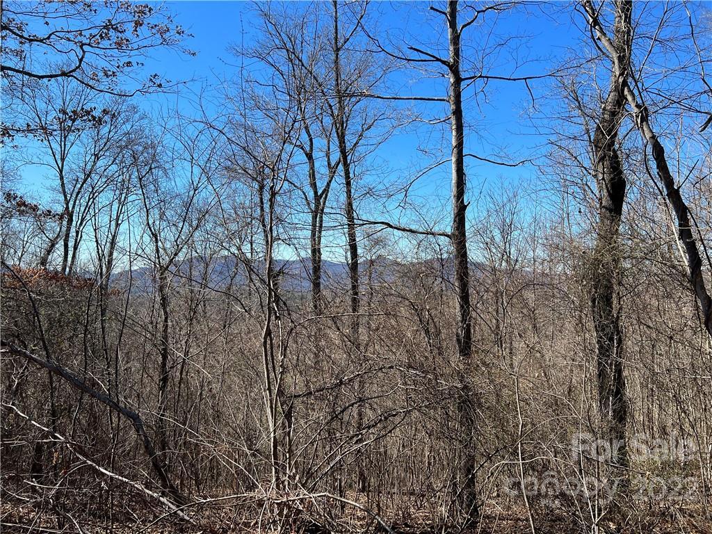 55 Haviture Way #Tract A, Candler, NC 28715