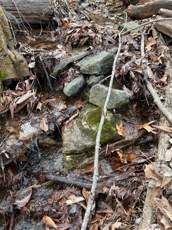 000 Holbert Cove Rd., Saluda, NC 28773