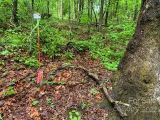 162 Hayes Dr. #per Survey, Saluda, NC 28773