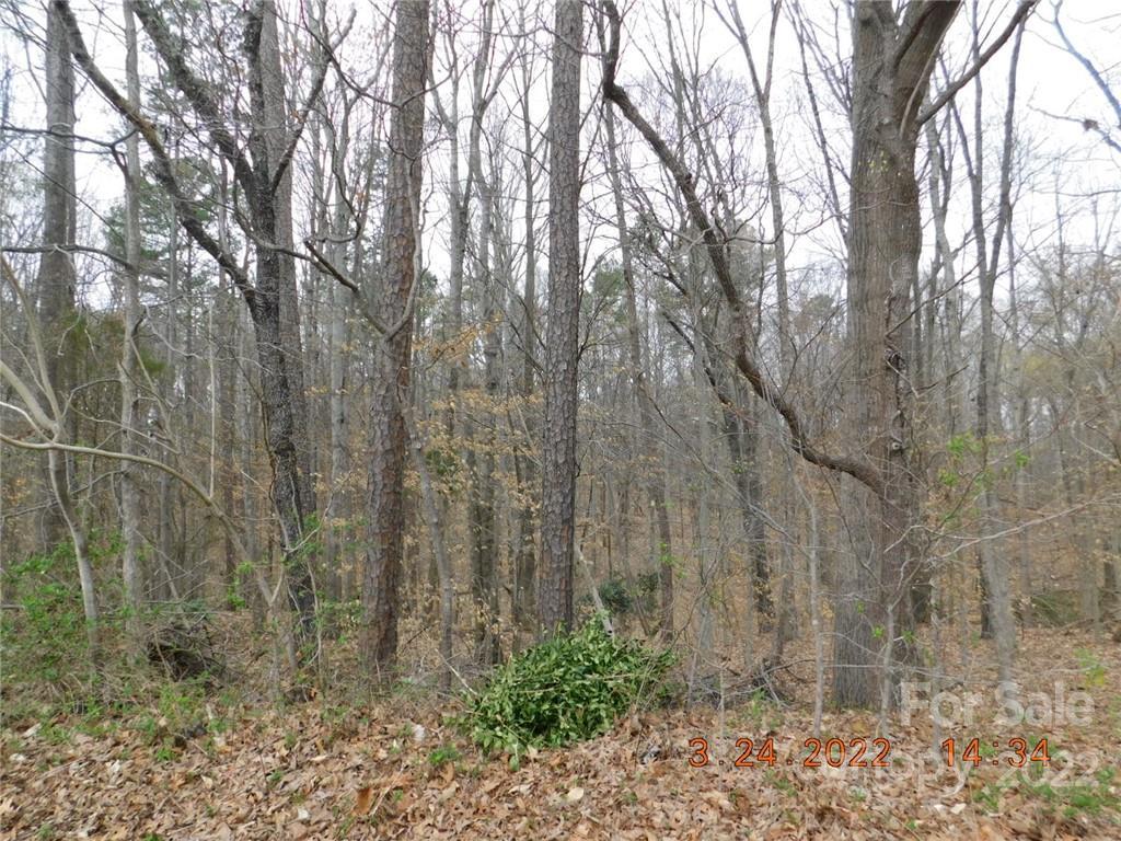 Tanglewood Dr., Kannapolis, NC 28081