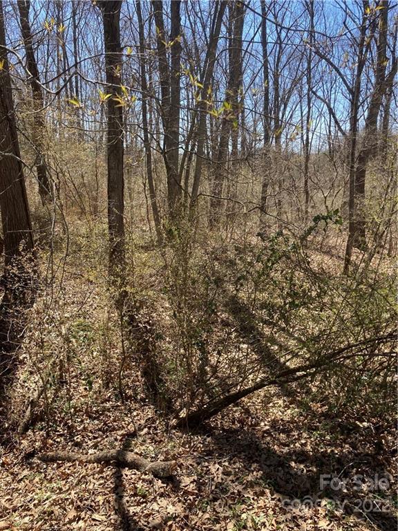 00 Rollingwood Dr., Clyde, NC 28721