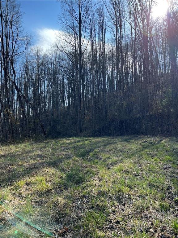 119 Cross Stitch Mountain Rd., Sylva, NC 28779