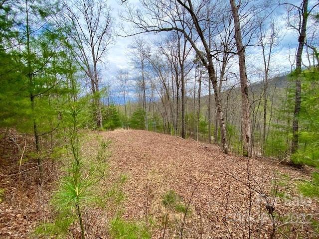 00 Village Cove Dr., Bryson City, NC 28713