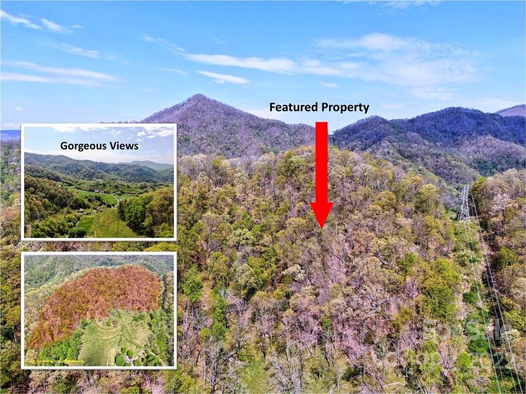 Silvers Cove Rd., Clyde, NC 28721