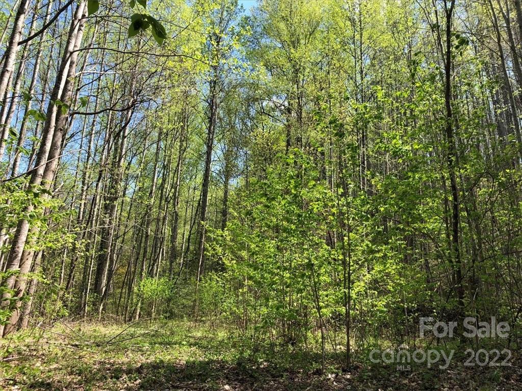 198 Quiet Forest Ln., Sylva, NC 28779