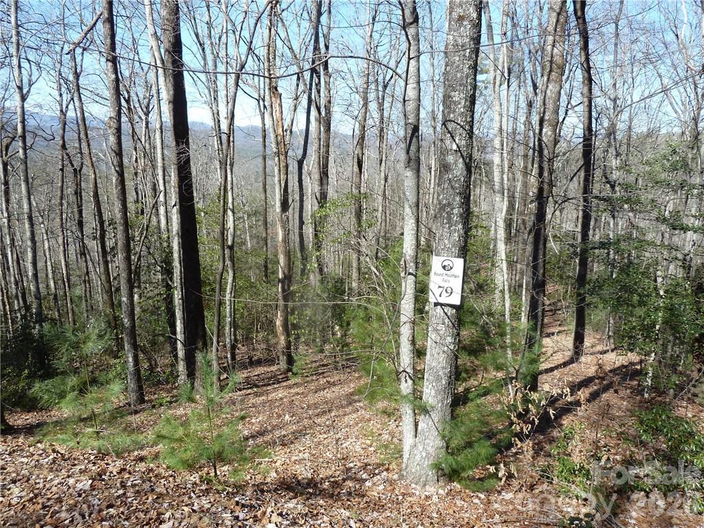 79 Peppervine Cir. #L79, Rosman, NC 28772
