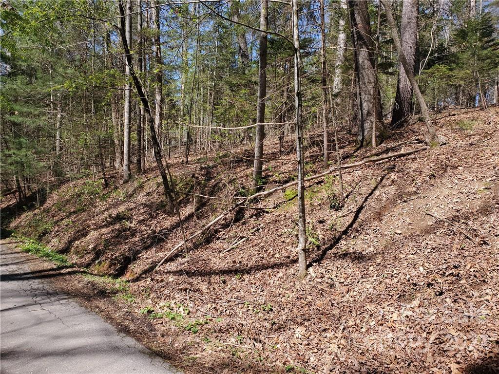 6 Country Spring Dr., Asheville, NC 28804