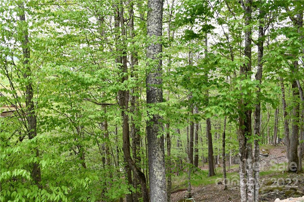 153 Hornbeam Rd. #B/115, Beech Mountain, NC 28604