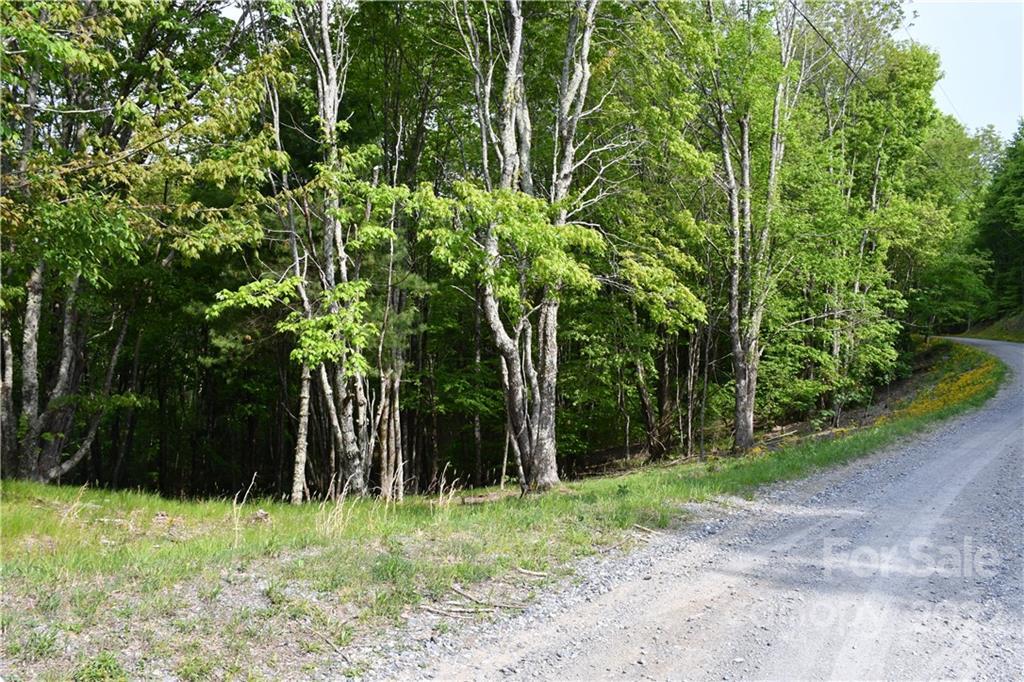 172 Wild Daisy Ln. #D/110, Beech Mountain, NC 28604