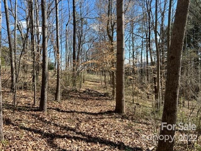 9999 Starnes Cove Rd., Asheville, NC 28806