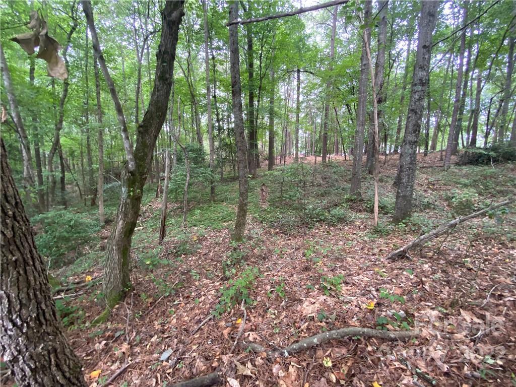 123 Annies Cir. #Lot #15, Boiling Springs, NC 28017