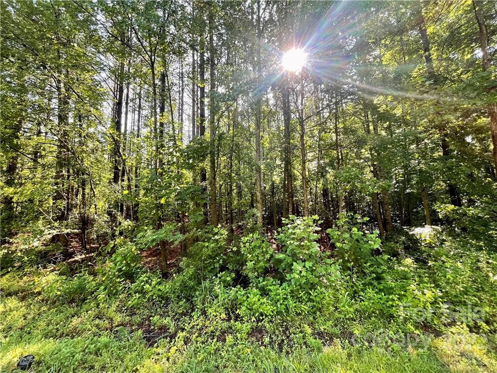 Dills Rd., Rutherfordton, NC 28139