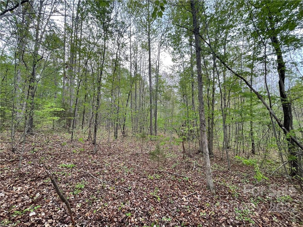 1802 Baber Rd., Rutherfordton, NC 28139
