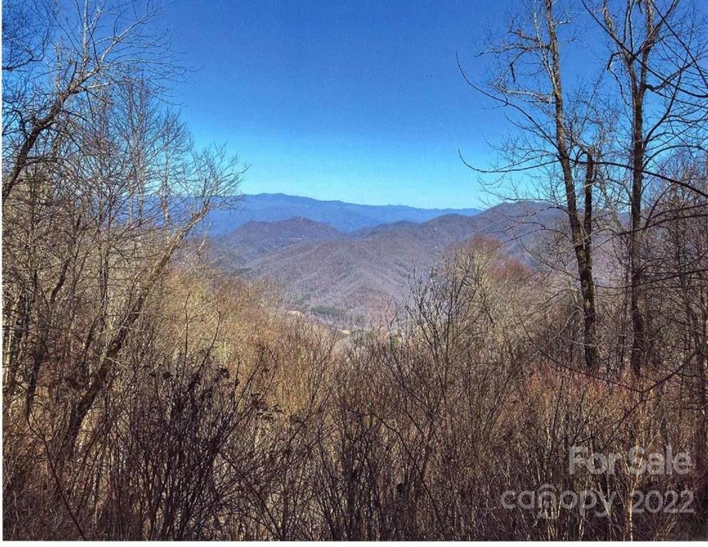00 E Cullisia Rd. #11, Bryson City, NC 28713