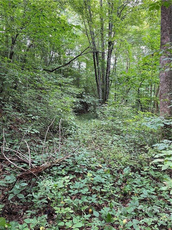 00 East Fork Rd., Sylva, NC 28779